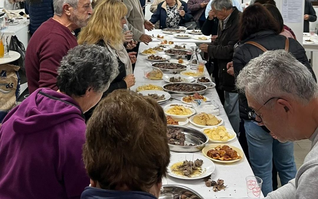 Social | Festa de São Martinho