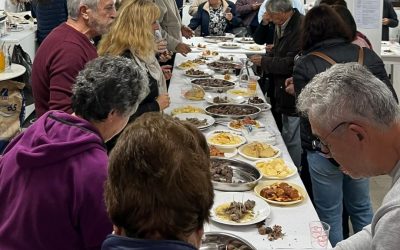 Social | Festa de São Martinho