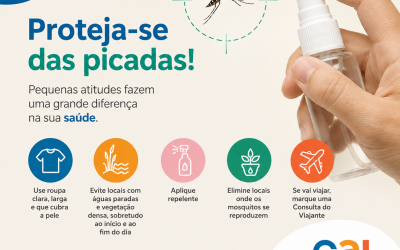 Saúde | Tempo Quente: DGS alerta para a prevenção de picadas de mosquitos e outros vetores